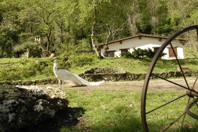 agriturismi con piscina vicino roma la cerra