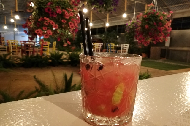 floema serra bistrot ladispoli nuove aperture luglio 2018 roma bistrot naturale cocktail bar