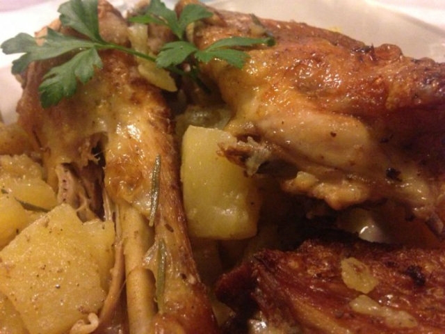 pollo