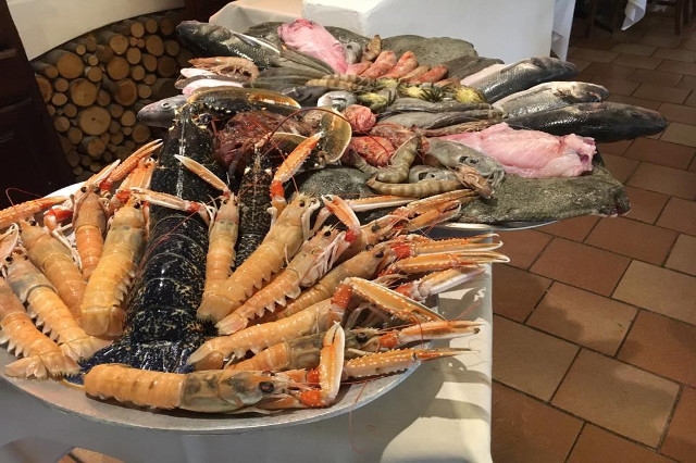 pesce fresco