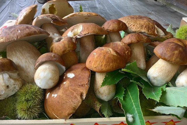 autunno agriturismi veneto