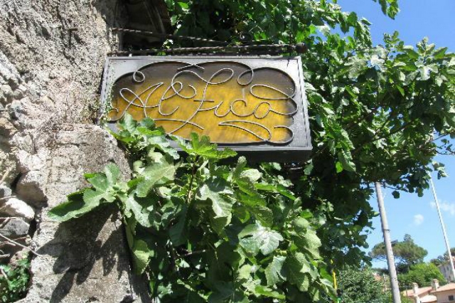 osteria al fico vecchio anagnina rocca di papa migliori ristoranti castelli romani roma