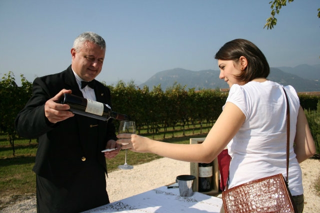 profumi di mosto