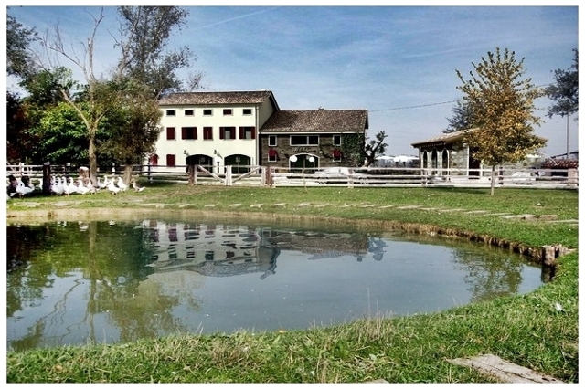 selgaro, foto da pagina facebook