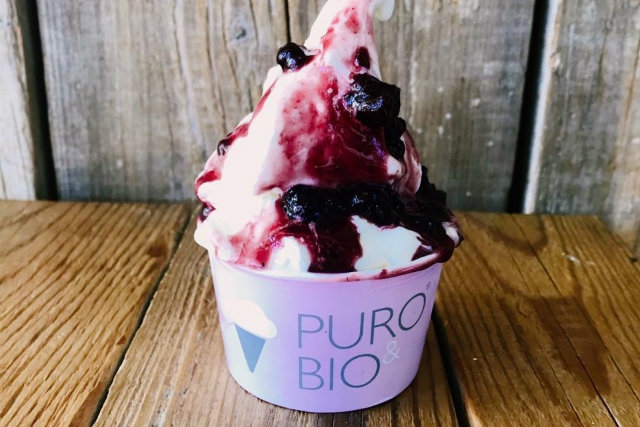 gelato artigianale biologico veneto