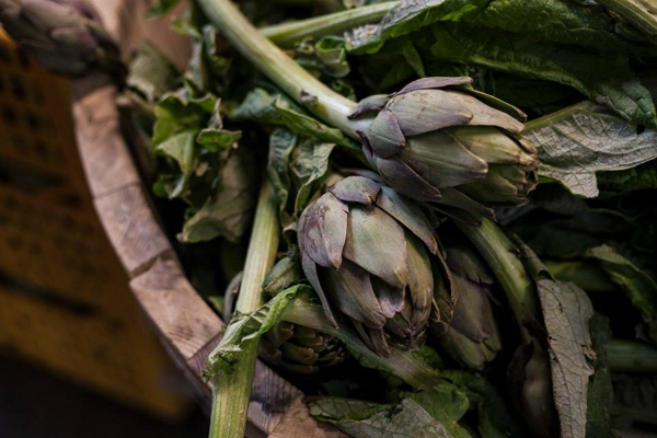 mercato centrale prodotti del territorio lazio stazione termini roma carciofi funghi alessandro conti gabriele la rocca carne macelleria roberto liberati pescheria pesce fresco edoardo galluzzi pasta all'uovo egidio michelis