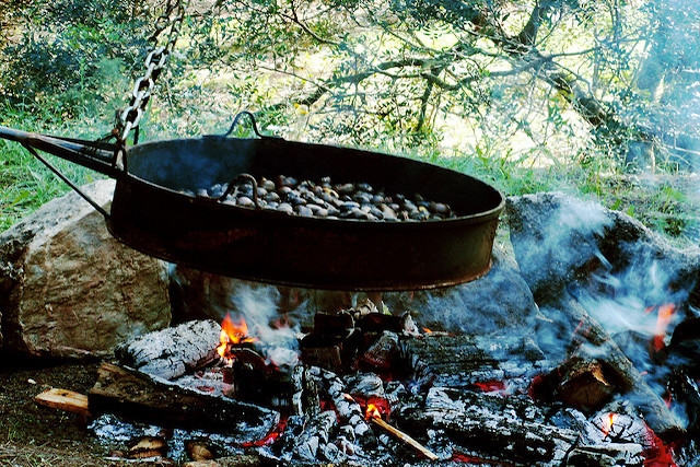 caldarroste castagne