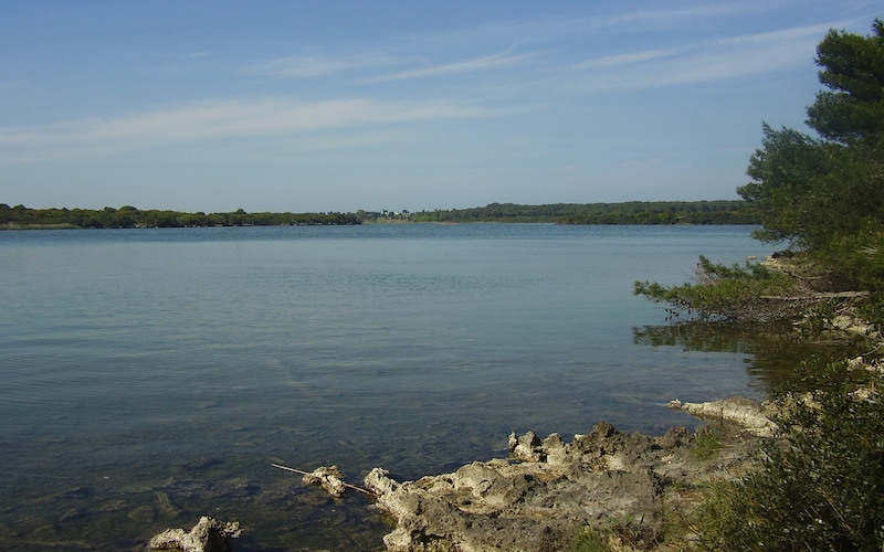 redattori licheri laghi alimini