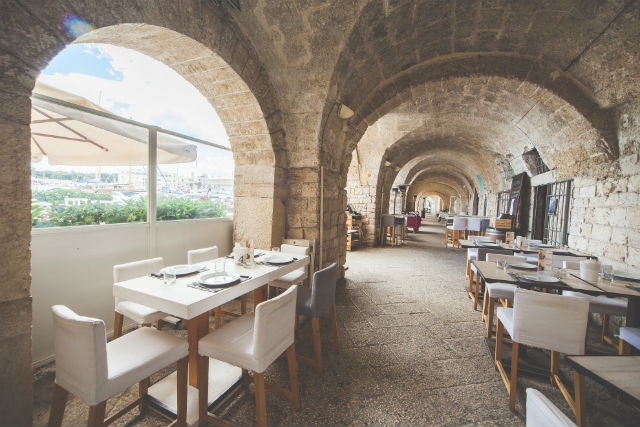 cosa fare in puglia trani tortuga public house porto zona turistica foto di tortuga