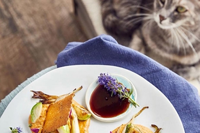 romeow cat bistrot