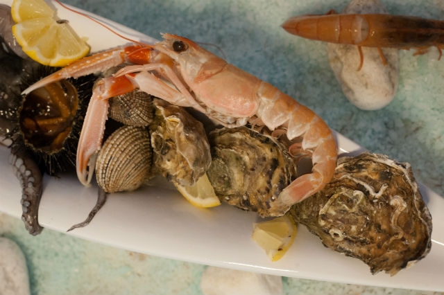 ristorante pesce crudo frutti di mare trani foto di trani70 in gallery