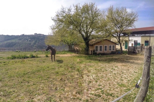 la tenuta resort agricolo