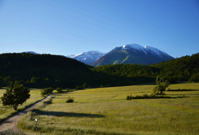 campovalano