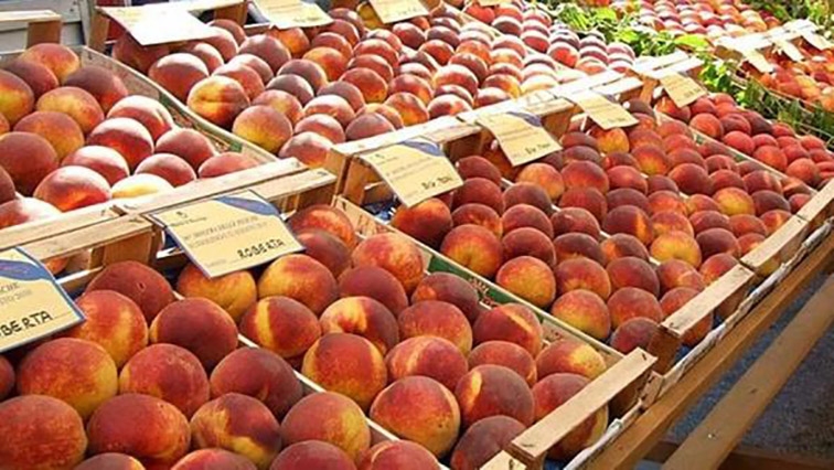 sagre eventi verona agosto
