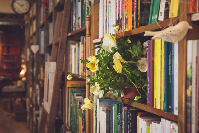 libreria il gelso verona
