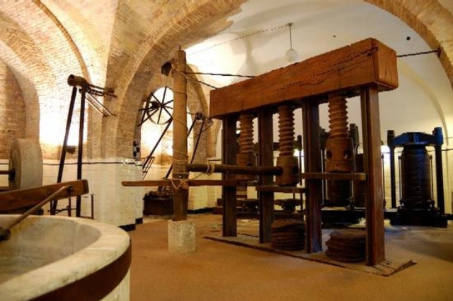 museo dellolio loreto aprutino