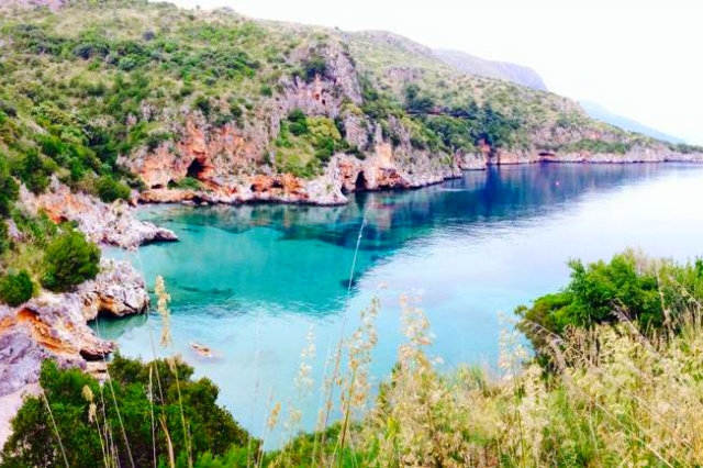 camerota