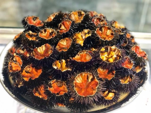 sergio's puglia bisceglie ricci