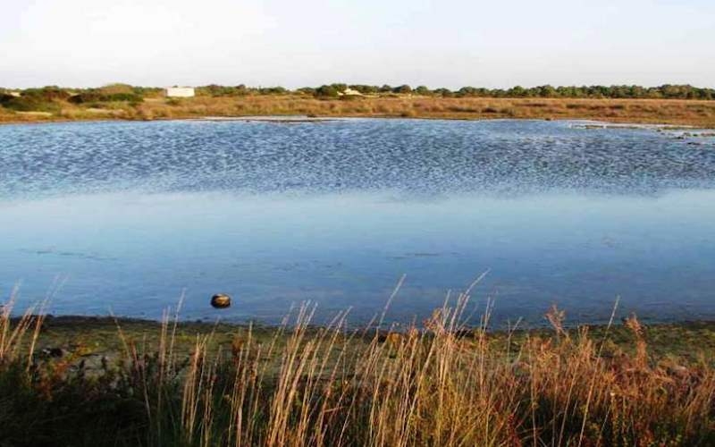 redattori licheri lago acquatina frigole