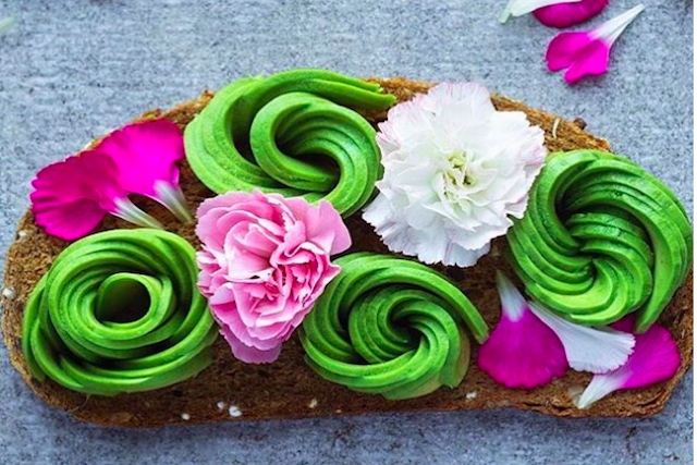 avocadino milano