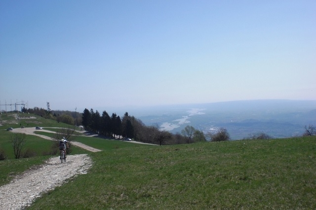 grappa