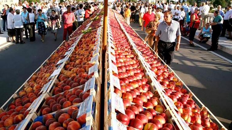 sagre agosto