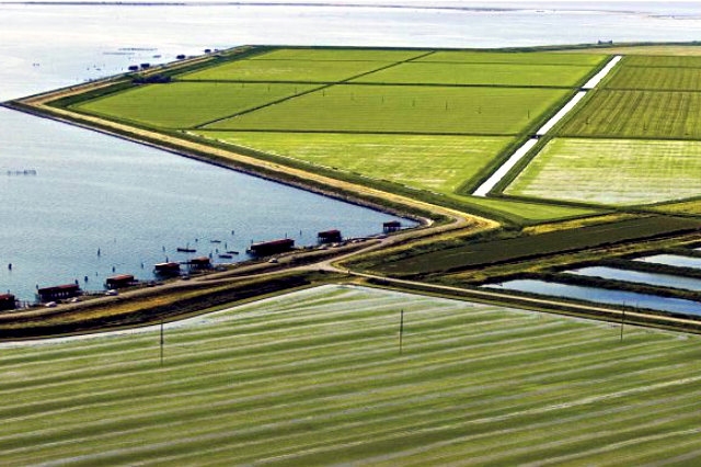 parchi e giardini più belli del veneto
