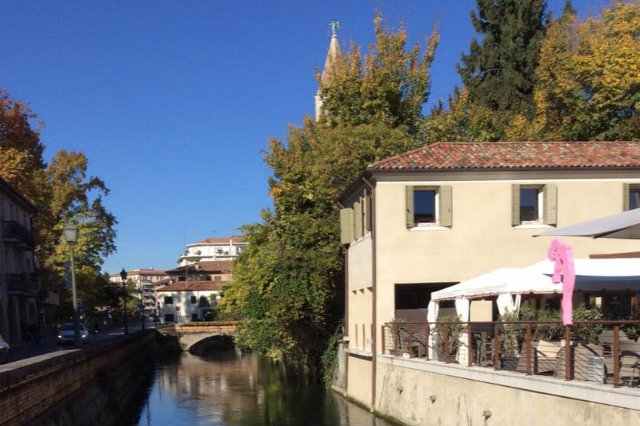 gattolè treviso ristorante carne