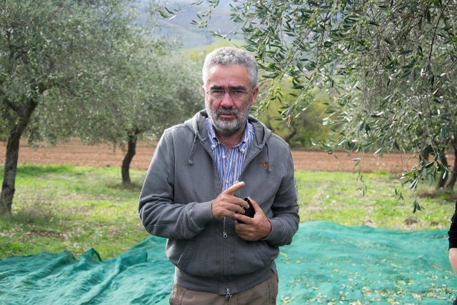 alfonso d'alfonso farmer