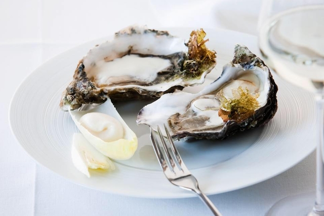 oyster bar ostriche milano
