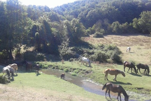 parchi naturali vicino roma parco di veio