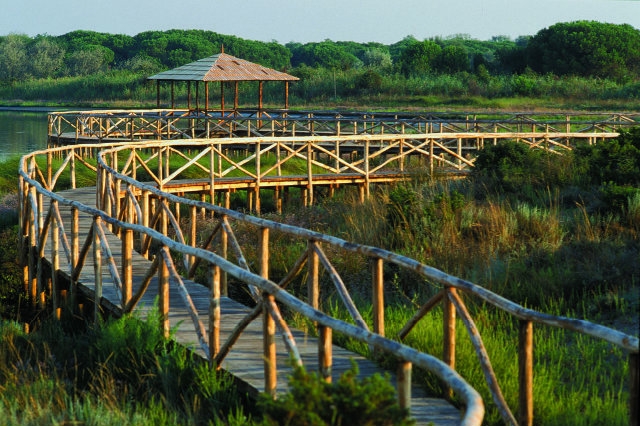 porto caleri delta del po
