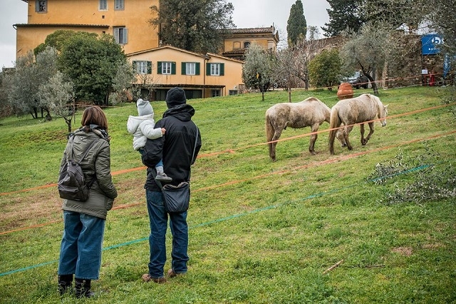 fattoria di maiano lo spaccio https://www.facebook.com/fattoria.dimaiano/photos/a.335321639945423.1073741830.322945327849721/1286296841514560/?type=3&theater