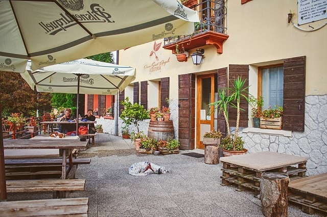 ecosteria