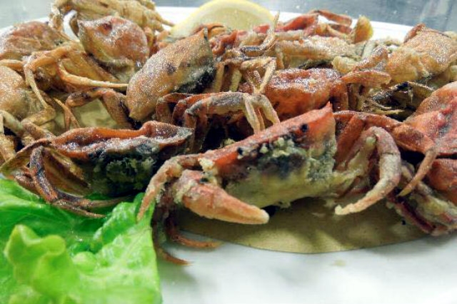 pesce da sporto in veneto