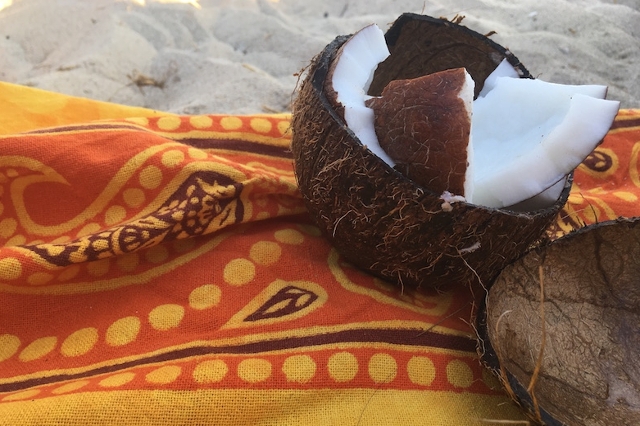 cocco