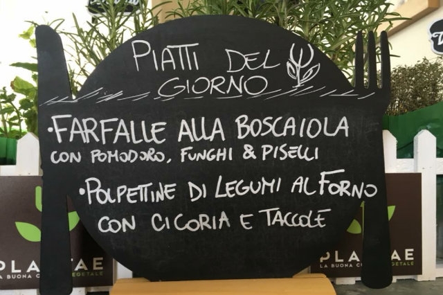 plantae