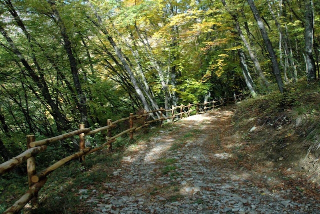 monte alpe sentiero