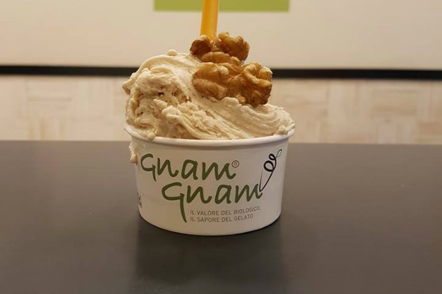 gelato vegano veneto