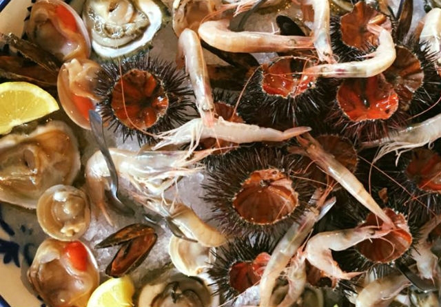 ristorante pesce crudo frutti di mare trani foto da facebook di ristorante falcone https://www.facebook.com/ristorantefalcone/?fref=ts