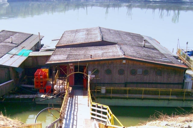 il molino sul po