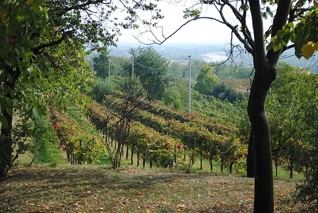 panoramica