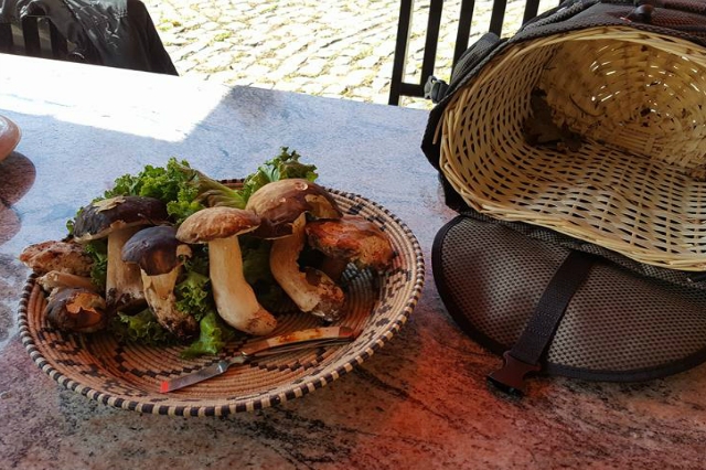 agriturismo la sorgente nepi tuscia via francigena migliori agriturismi del lazio funghi porcini casale fine settimana week end campagna relax escursioni cucina