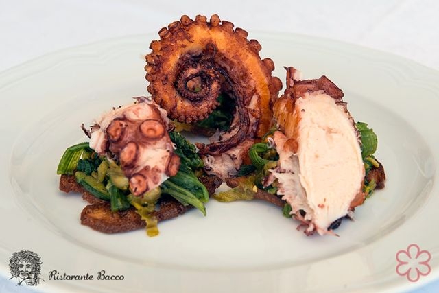 ristorante bacco barletta puglia