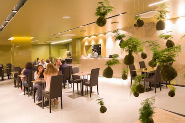 tokyo ristorante giapponese sushi brescia