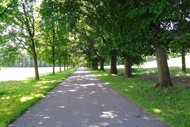parco di monza