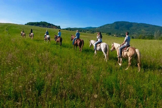 toscana ranch https://www.facebook.com/toscanaranch/photos/pb.1685663085045568.-2207520000.1464263662./1724904477788095/?type=3&theater