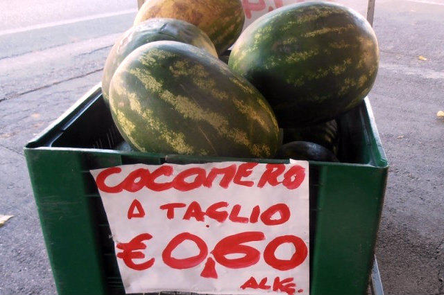 cocomeraio bologna
