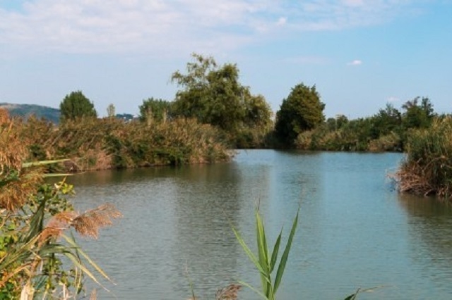 lago lispida