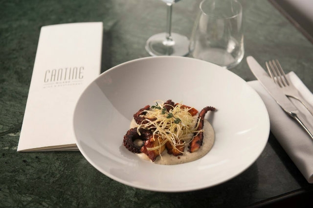 cantine milano piatto